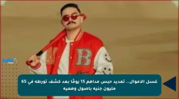 غسل الأموال.. تمديد حبس مداهم 15 يومًا بعد كشف تورطه في 65 مليون جنيه بأصول وهمية